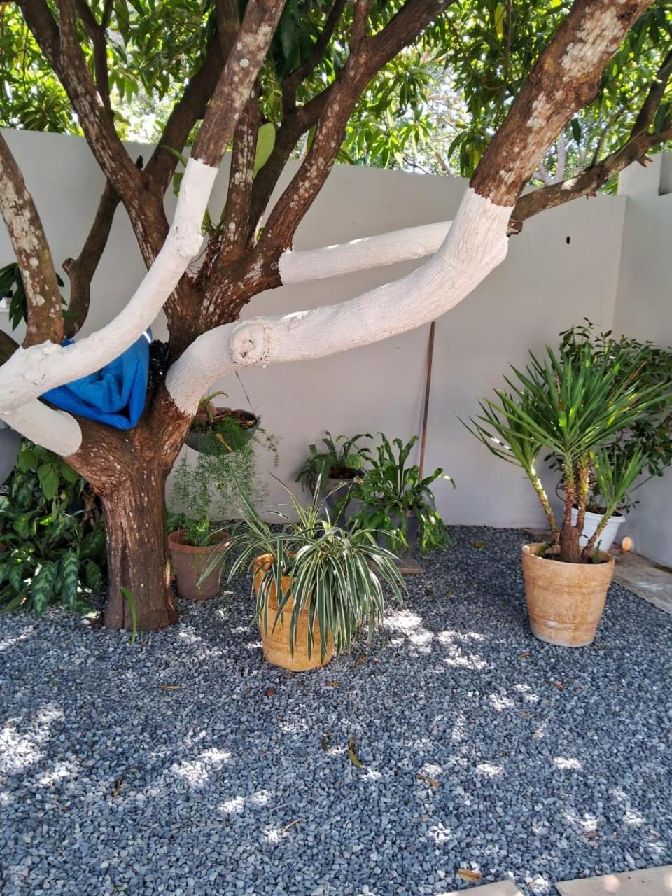 Casa Por Temporada Em Сasa de vacaciones